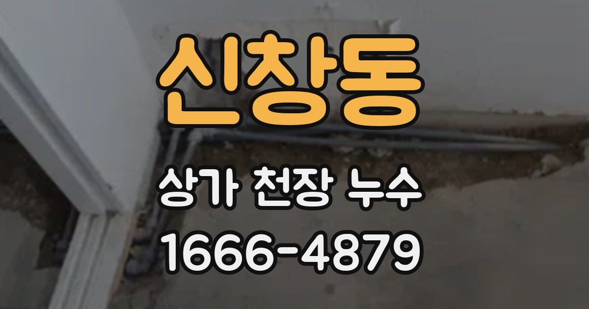 신창동 상가 천장 누수