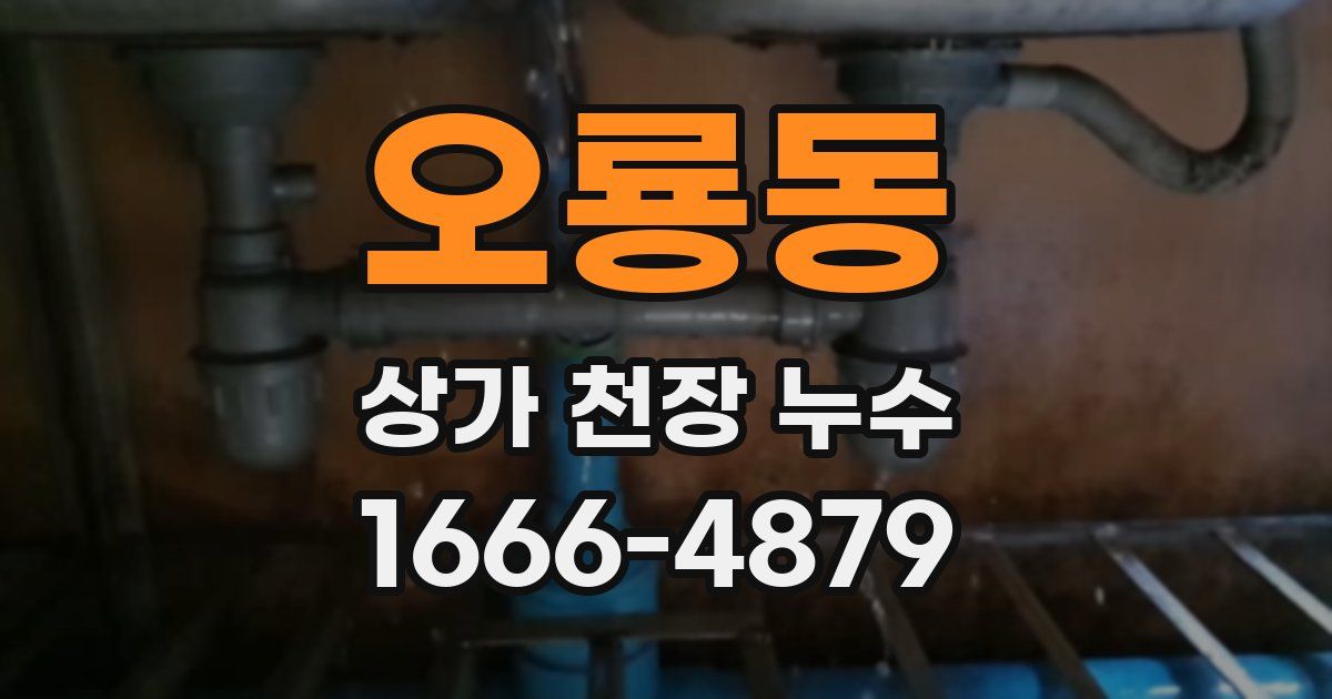 오룡동 상가 천장 누수