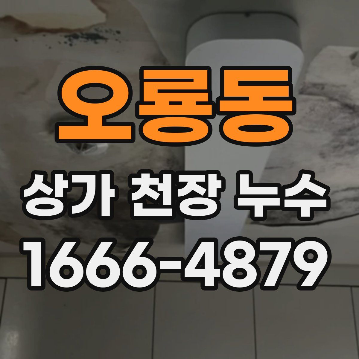 오룡동 상가 천장 누수