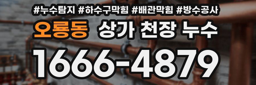 오룡동 상가 천장 누수