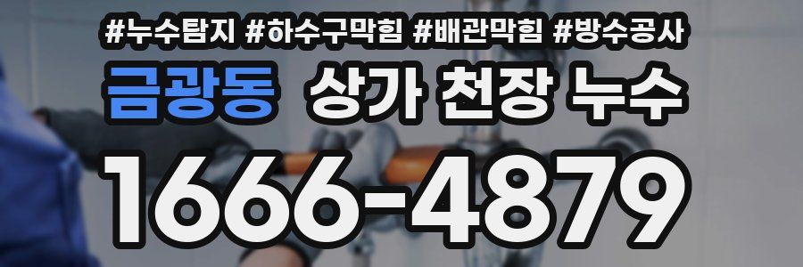 금광동 상가 천장 누수