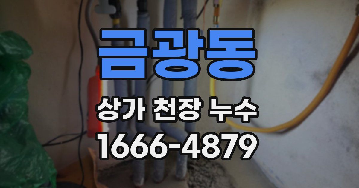 금광동 상가 천장 누수