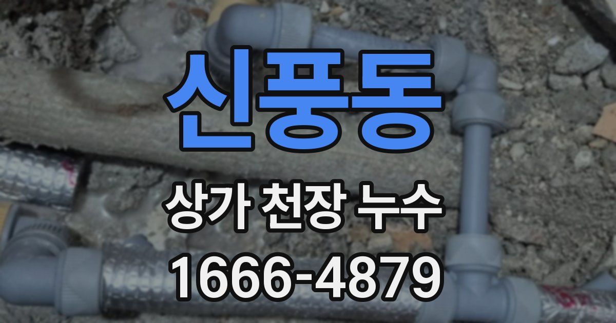 신풍동 상가 천장 누수
