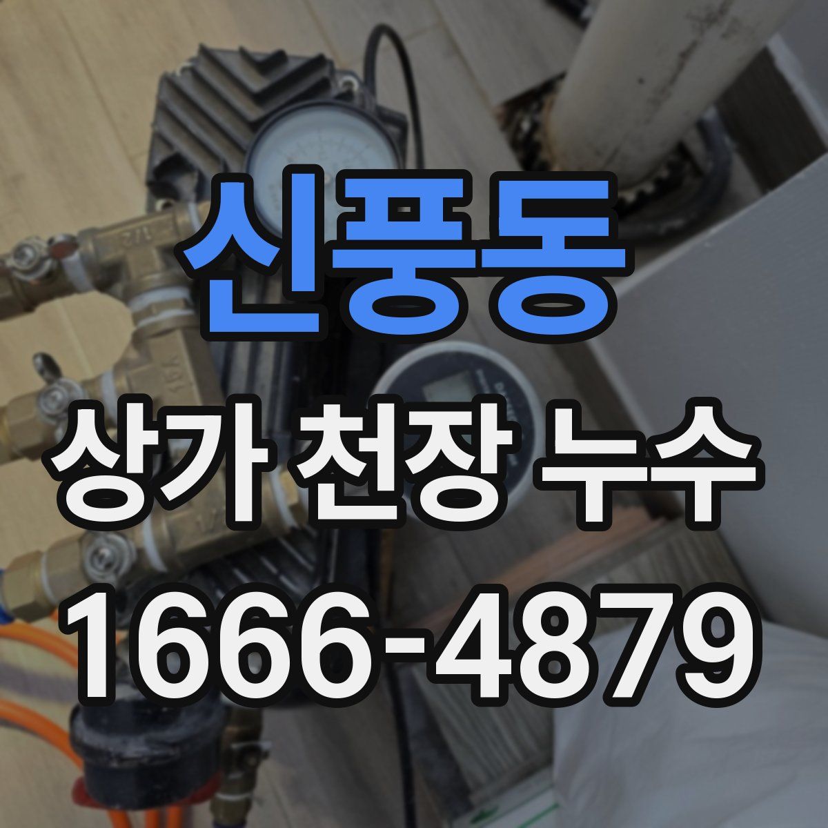 신풍동 상가 천장 누수
