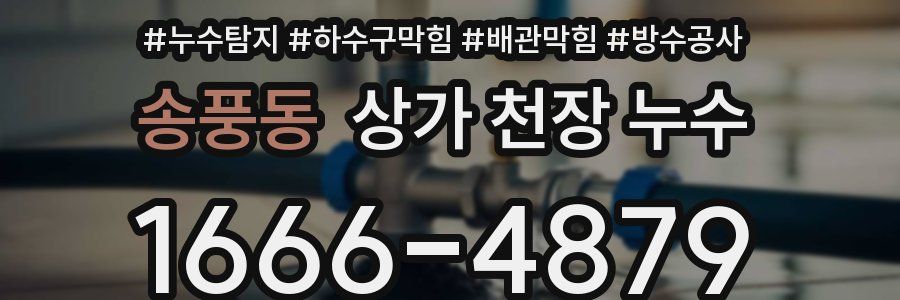 송풍동 상가 천장 누수