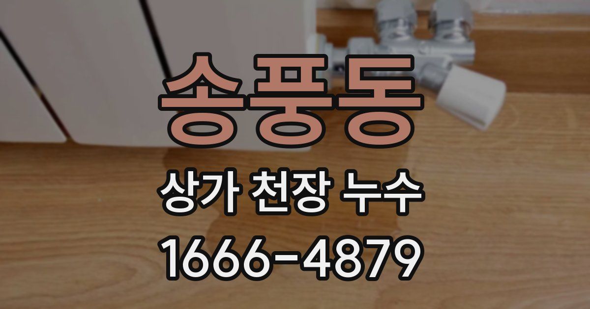 송풍동 상가 천장 누수
