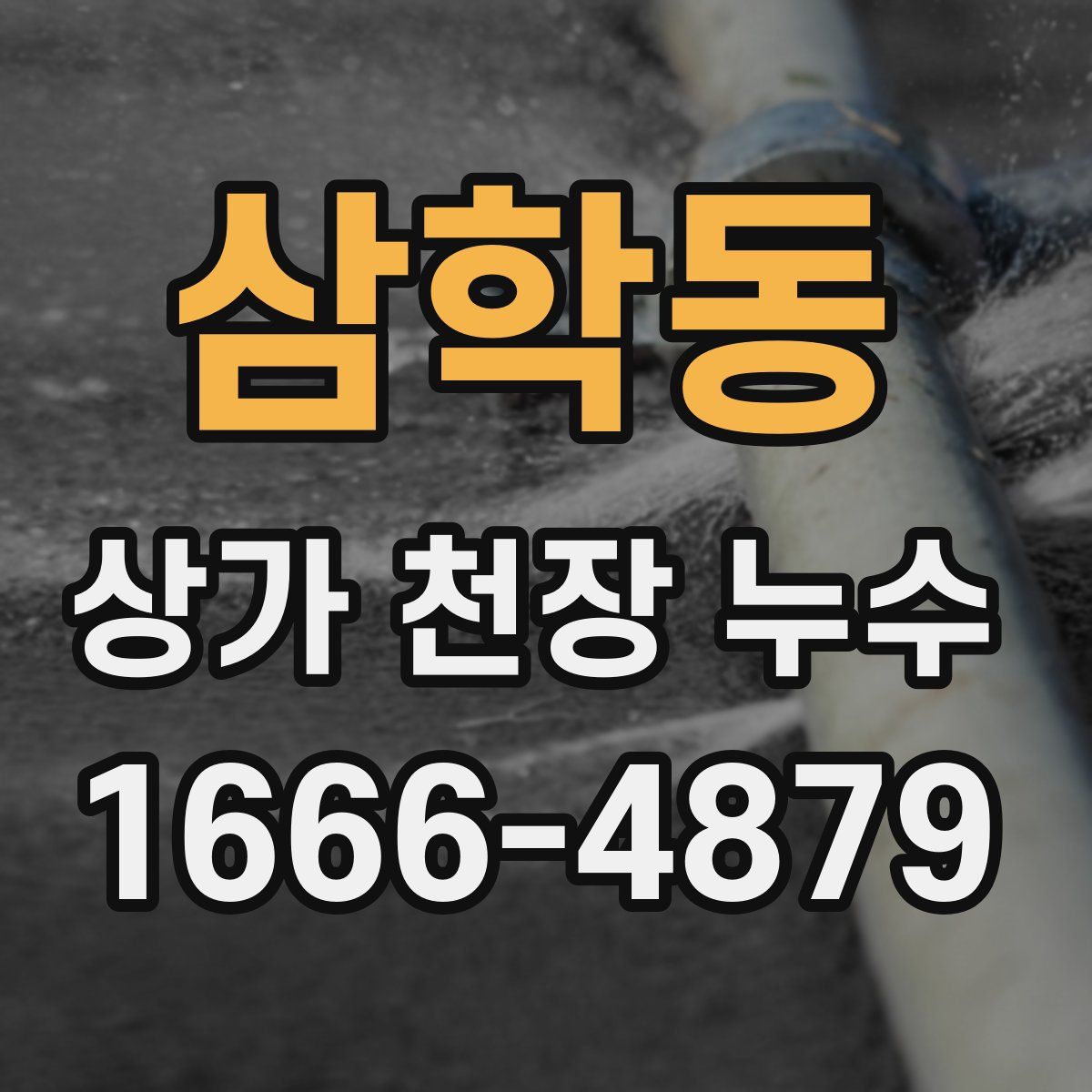 삼학동 상가 천장 누수