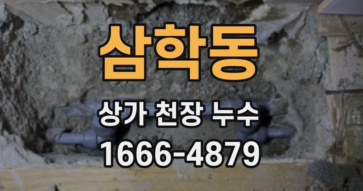 삼학동 상가 천장 누수