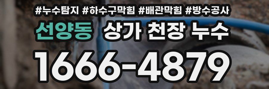 선양동 상가 천장 누수