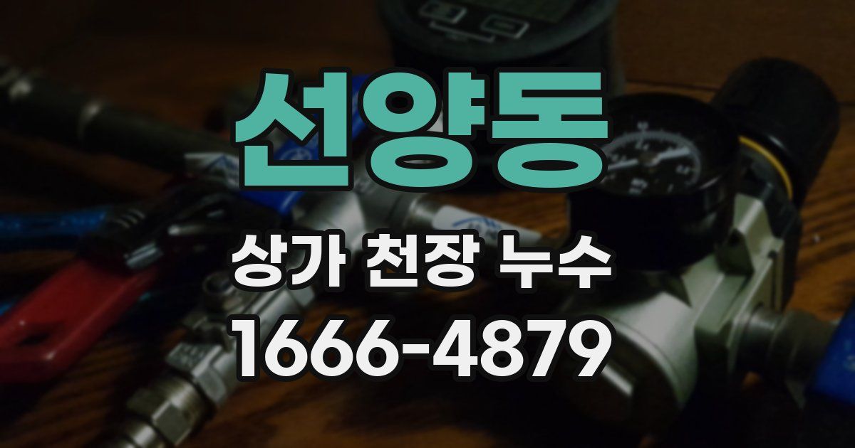 선양동 상가 천장 누수