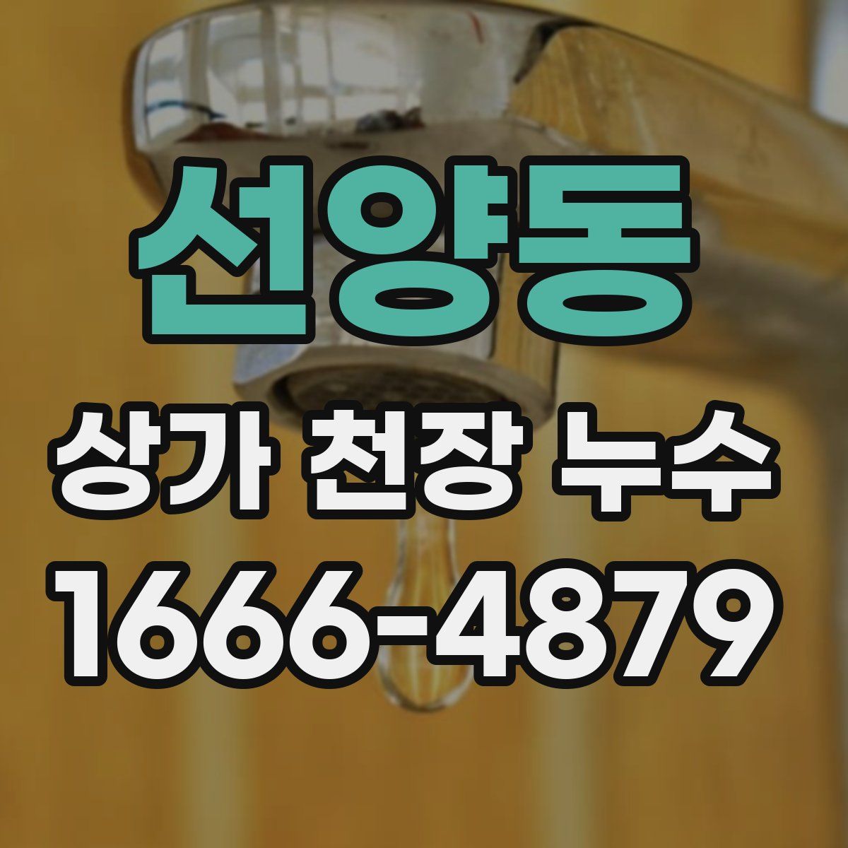 선양동 상가 천장 누수