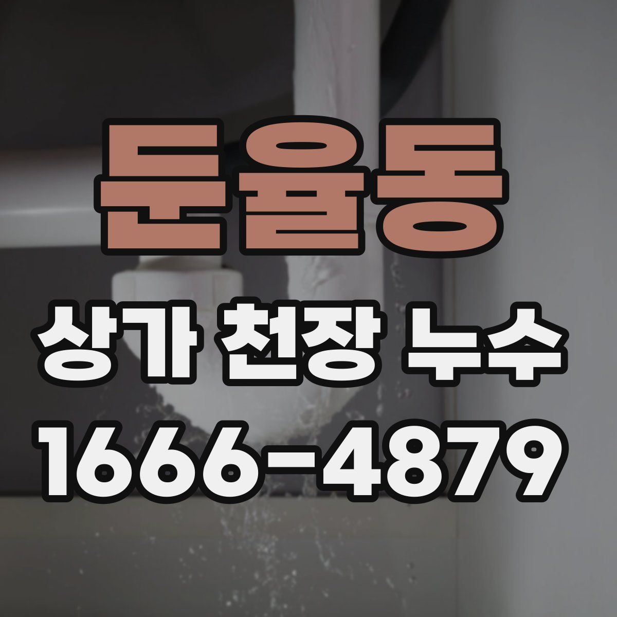 둔율동 상가 천장 누수