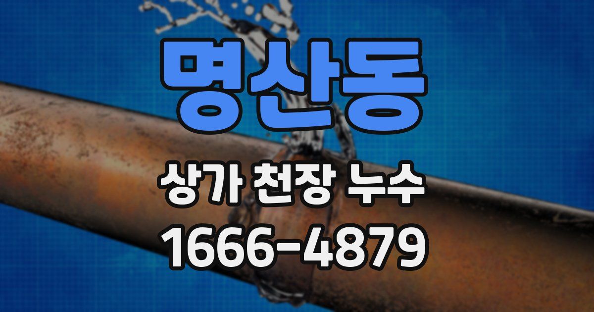 명산동 상가 천장 누수