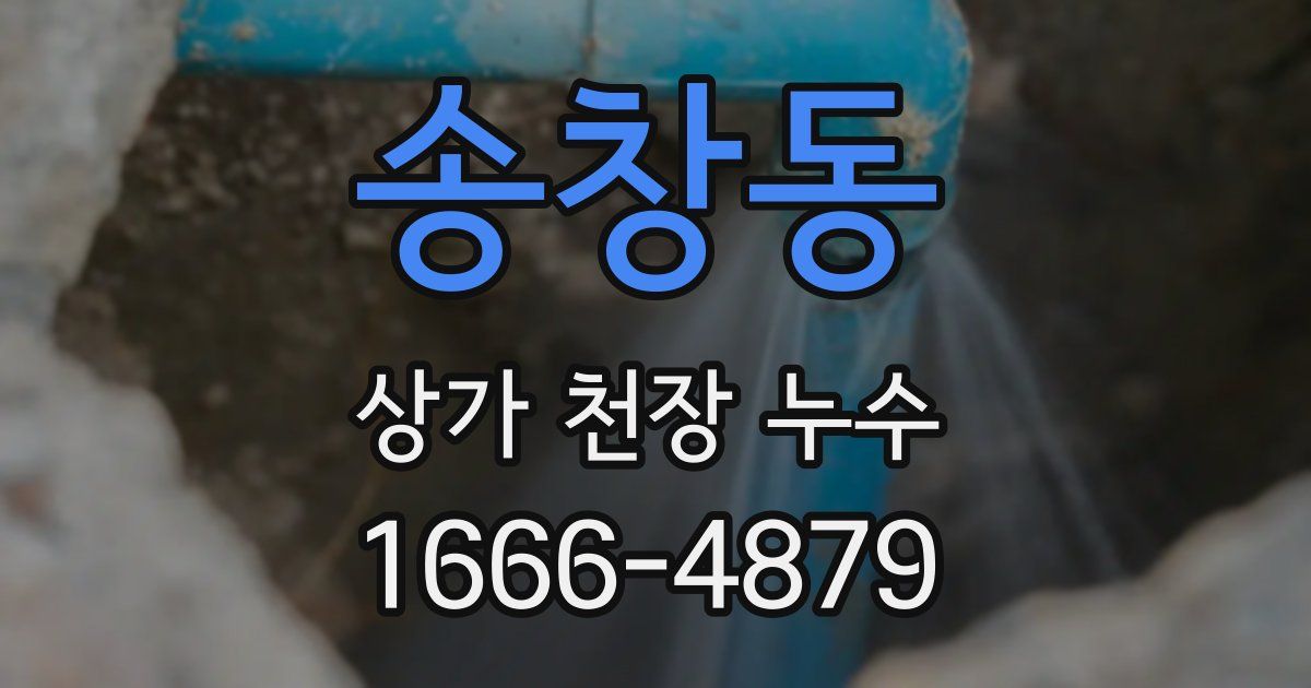 송창동 상가 천장 누수