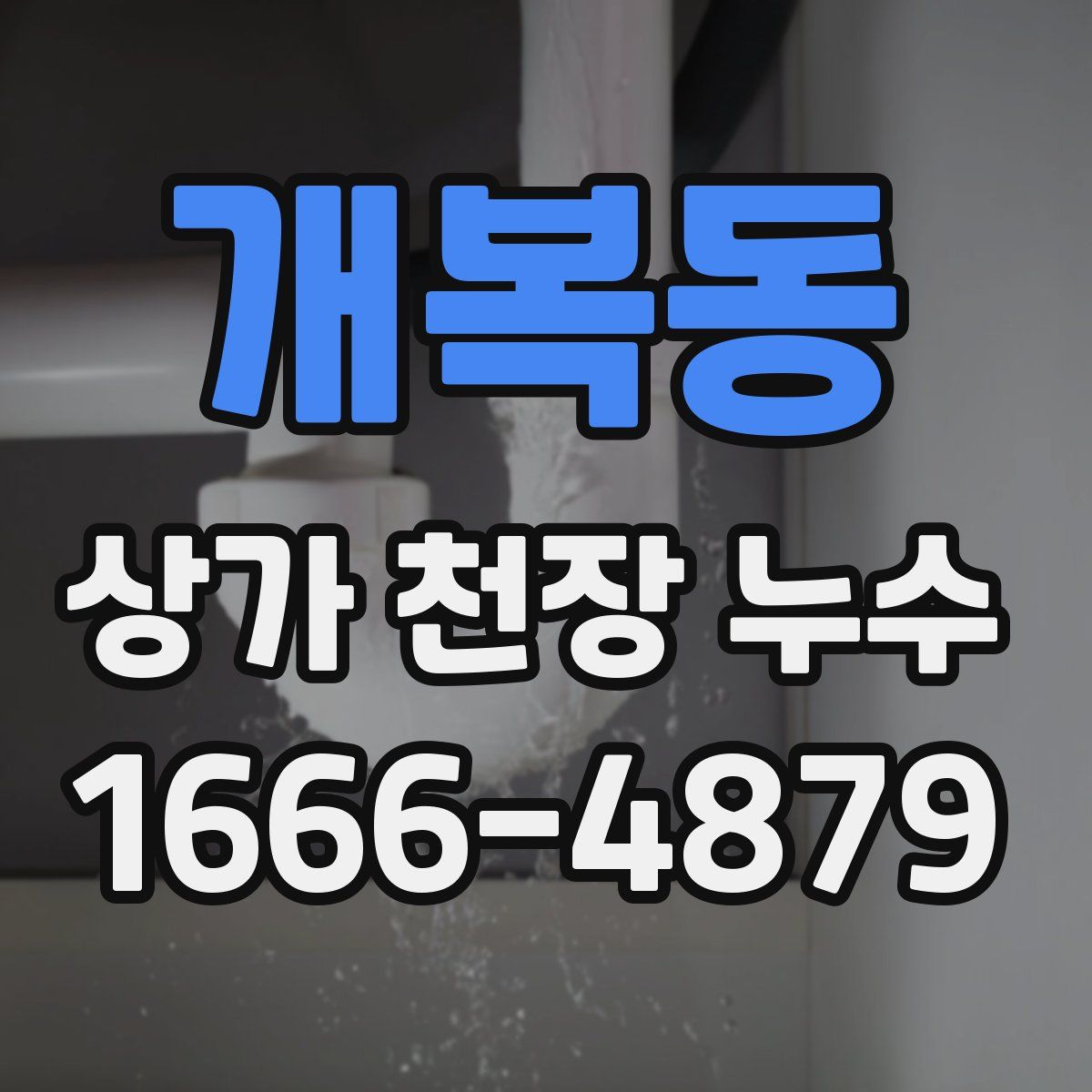 개복동 상가 천장 누수