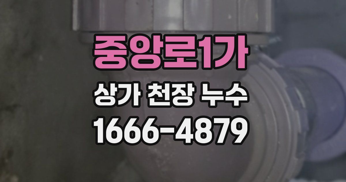 중앙로1가 상가 천장 누수