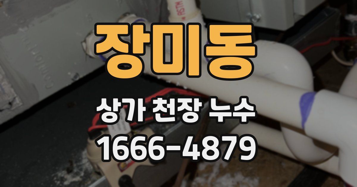 장미동 상가 천장 누수