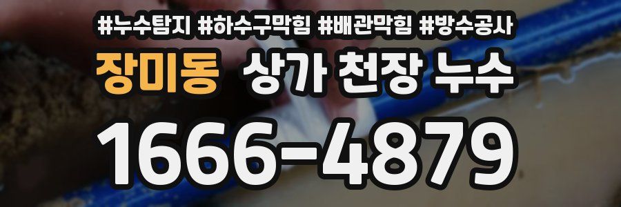 장미동 상가 천장 누수