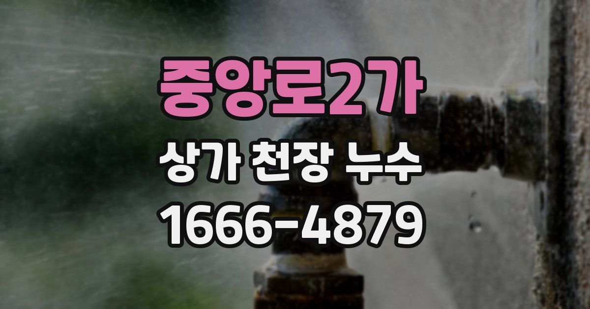 중앙로2가 상가 천장 누수