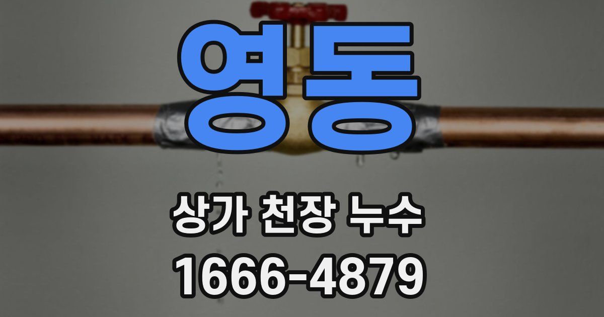영동 상가 천장 누수