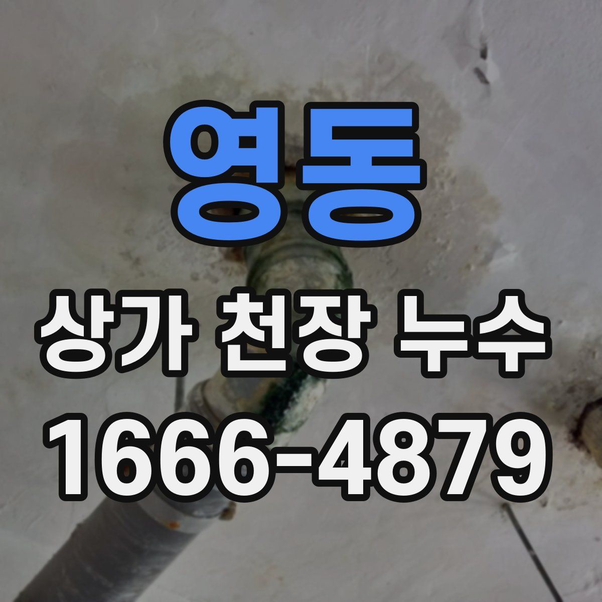 영동 상가 천장 누수
