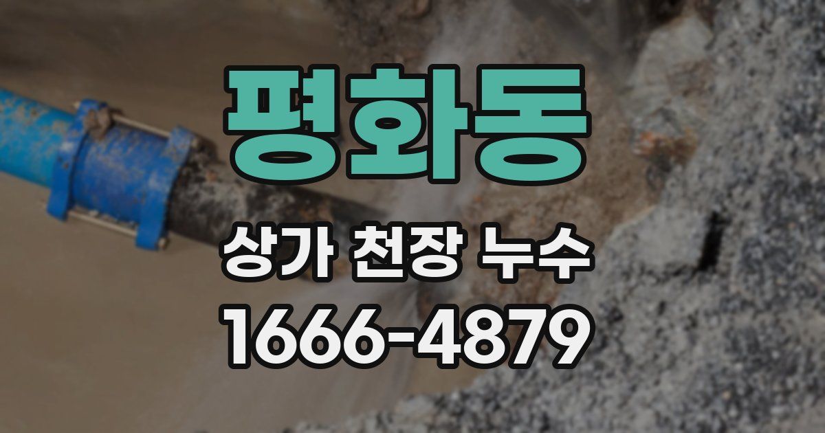 평화동 상가 천장 누수