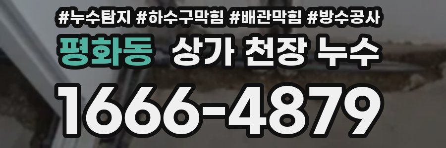평화동 상가 천장 누수