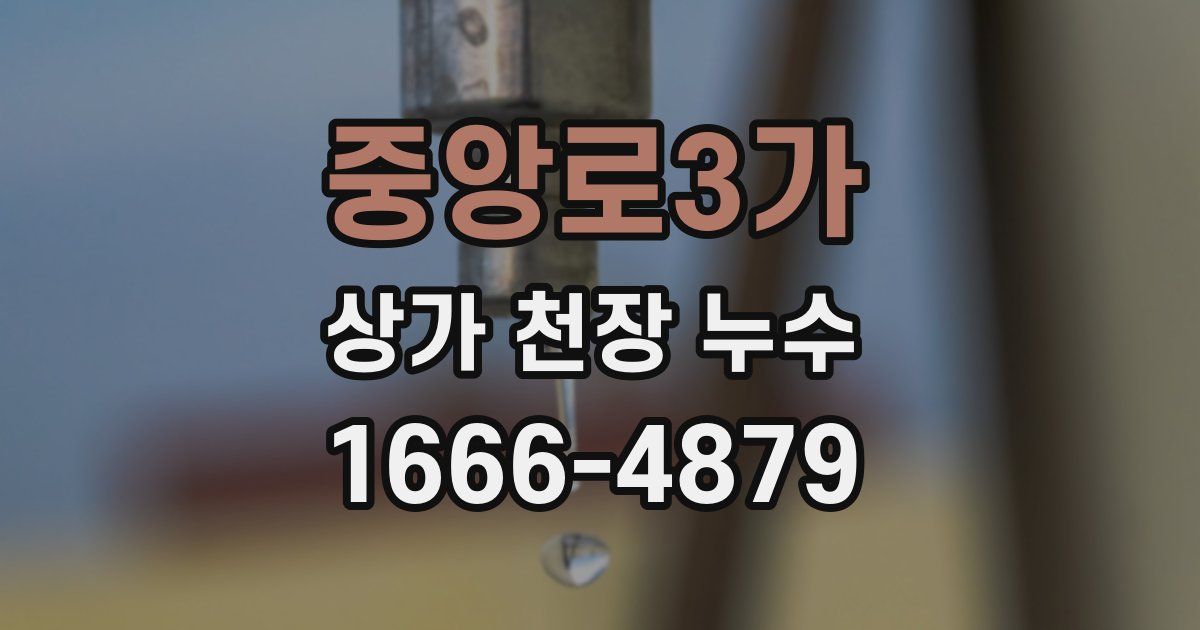 중앙로3가 상가 천장 누수