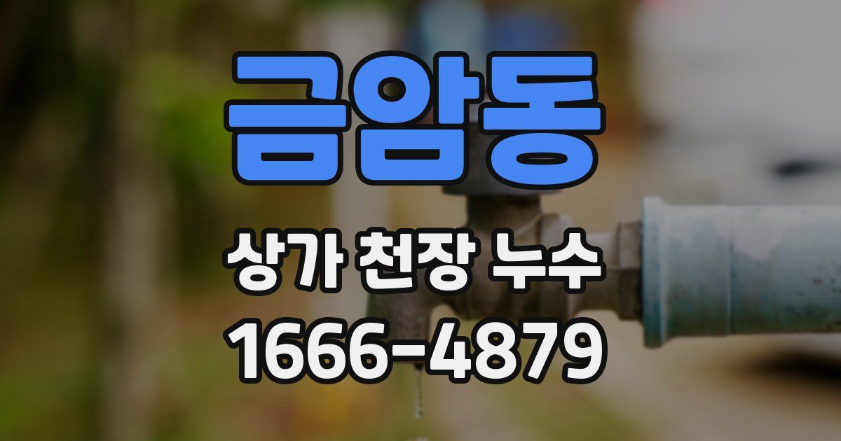 금암동 상가 천장 누수