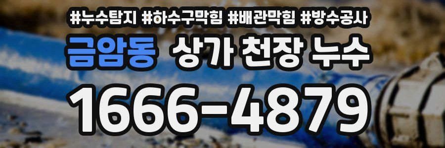 금암동 상가 천장 누수