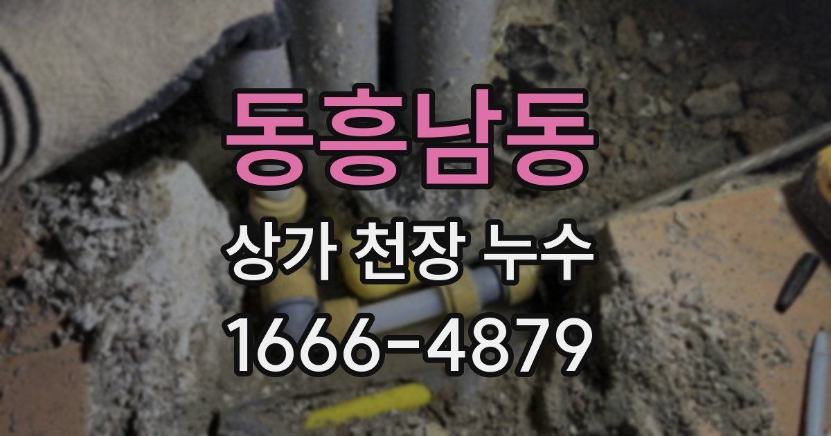 동흥남동 상가 천장 누수