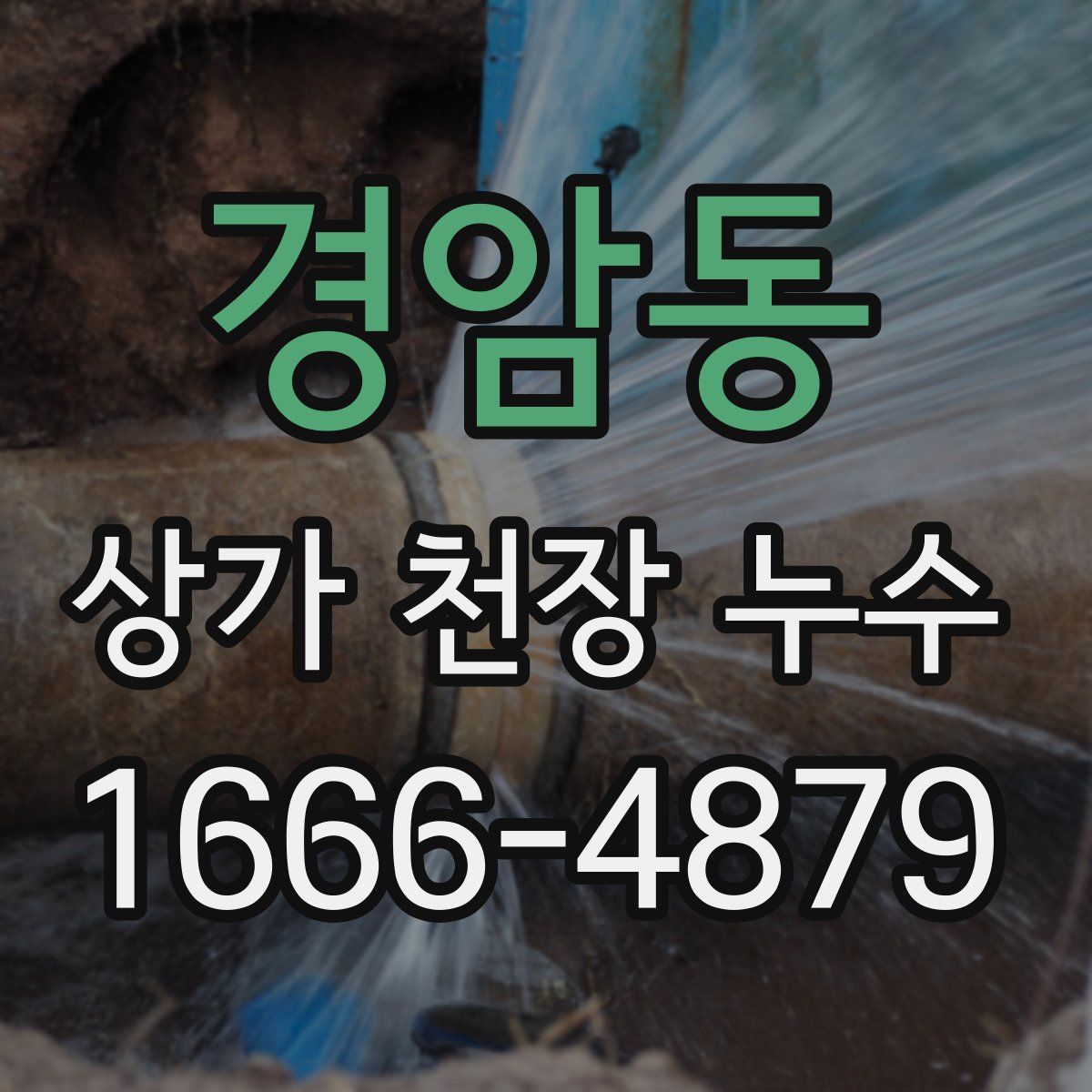 경암동 상가 천장 누수