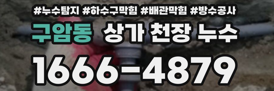 구암동 상가 천장 누수