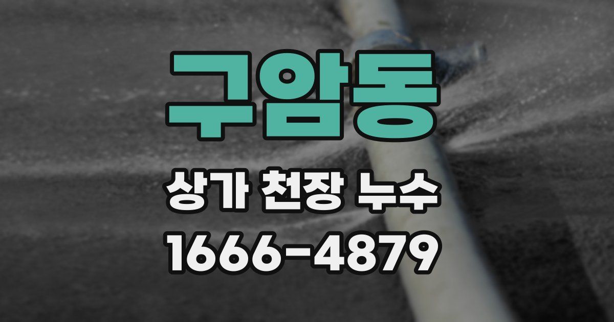 구암동 상가 천장 누수