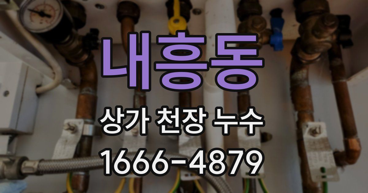 내흥동 상가 천장 누수
