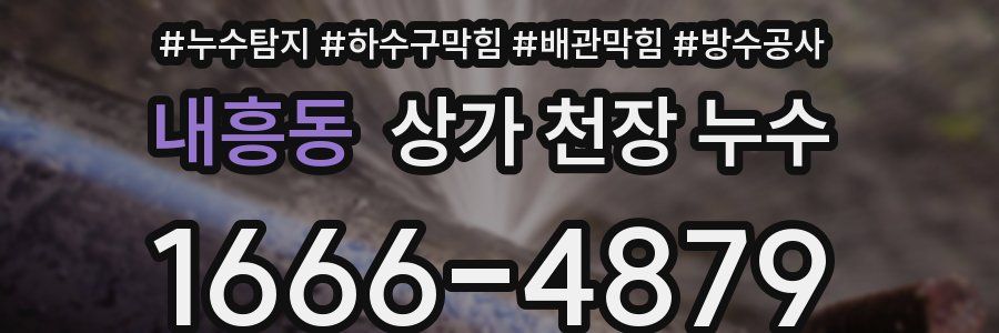 내흥동 상가 천장 누수