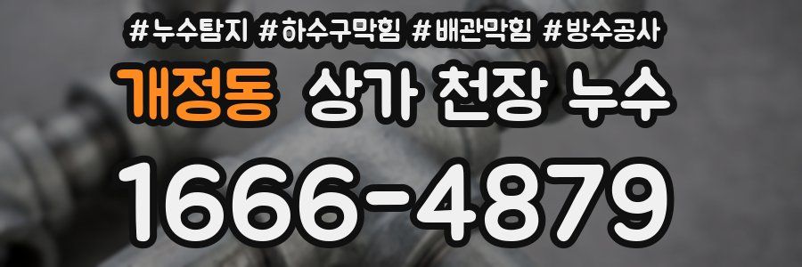 개정동 상가 천장 누수