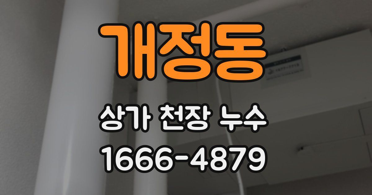 개정동 상가 천장 누수