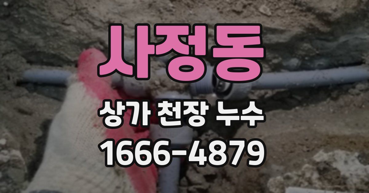 사정동 상가 천장 누수