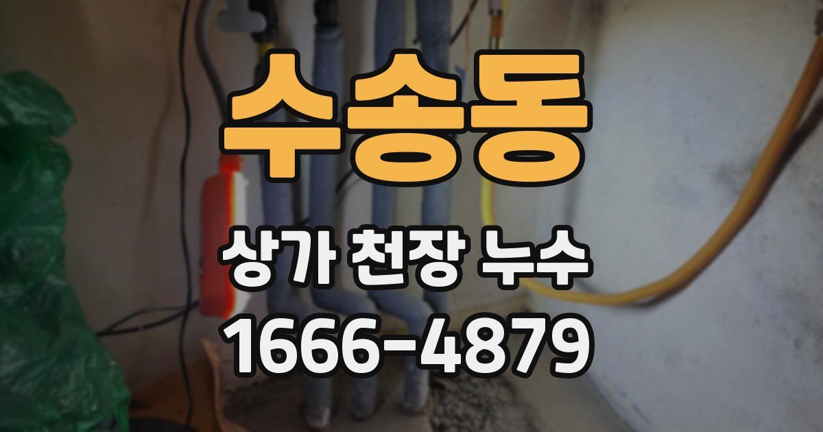 수송동 상가 천장 누수