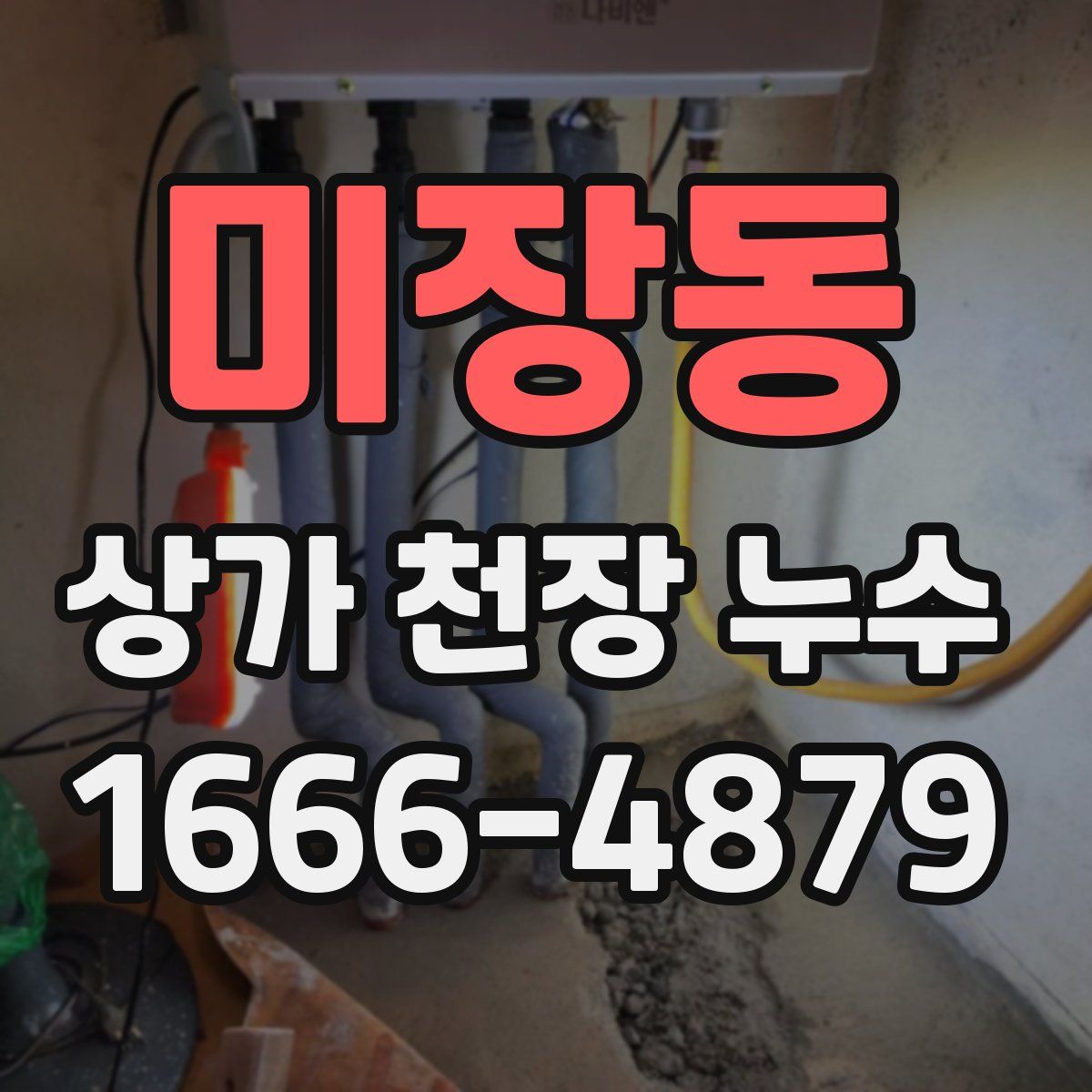 미장동 상가 천장 누수