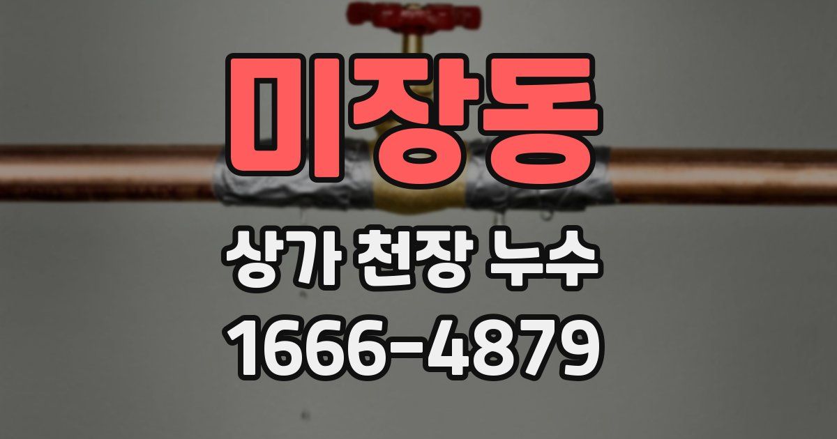 미장동 상가 천장 누수