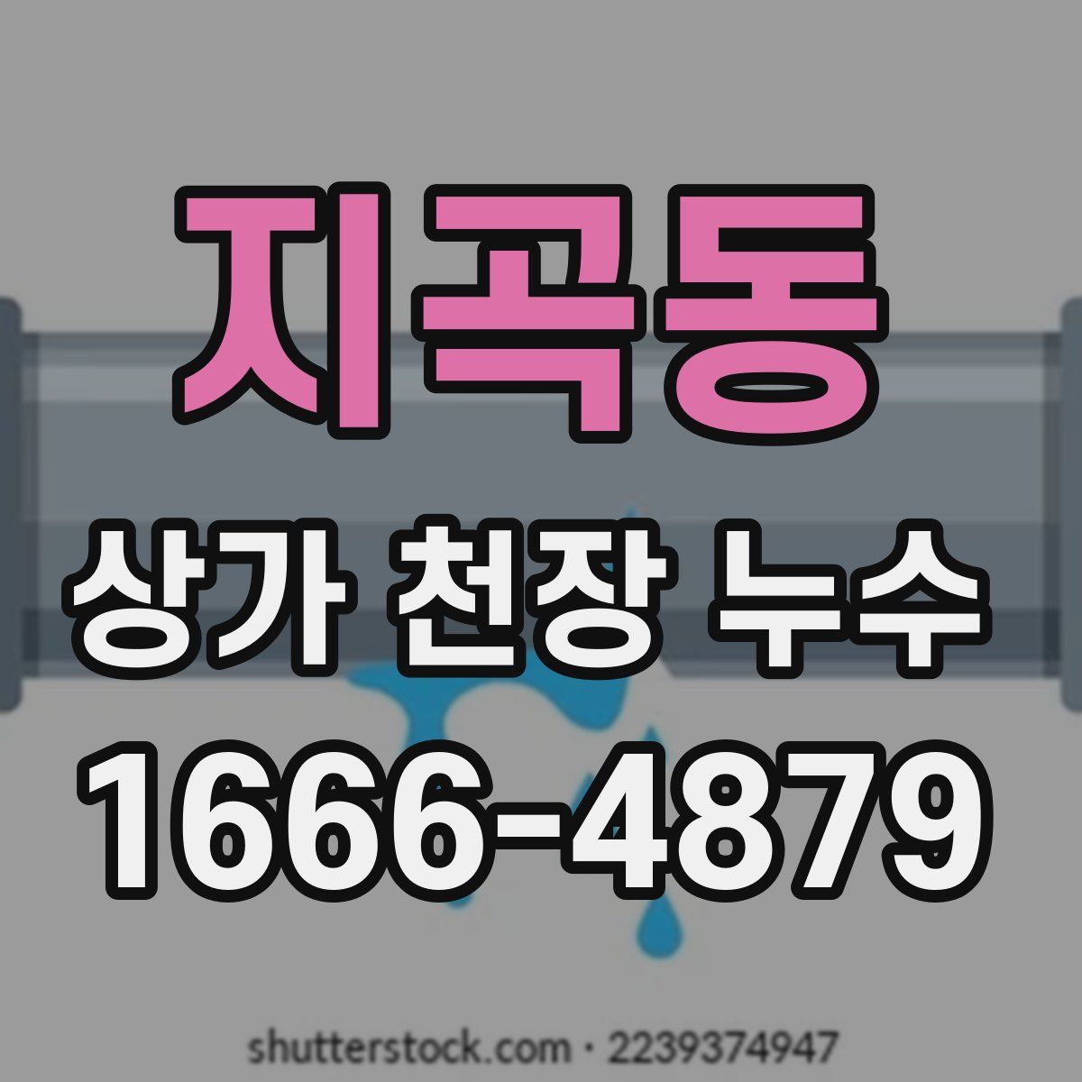 지곡동 상가 천장 누수