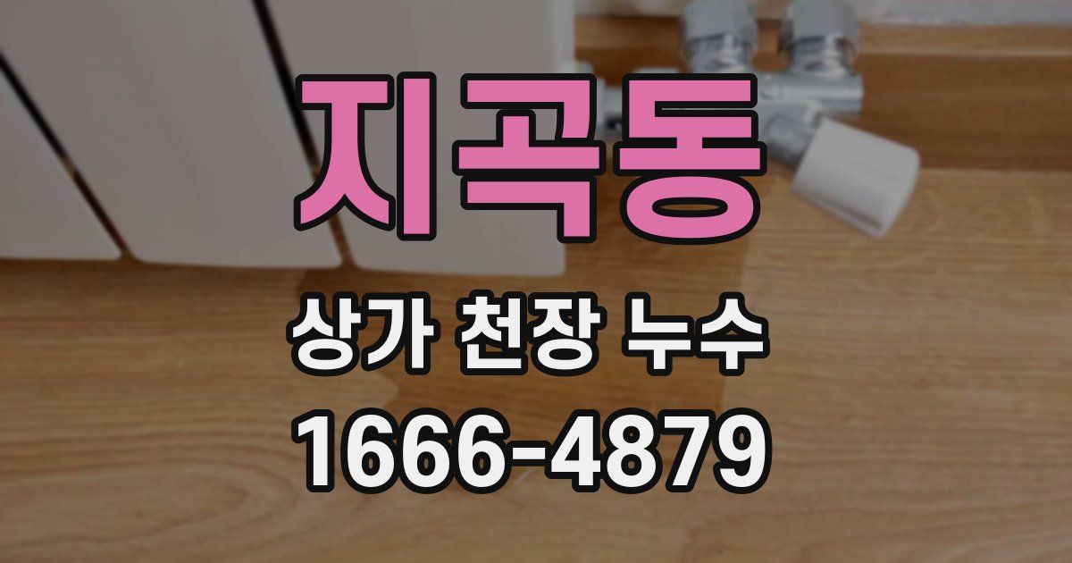 지곡동 상가 천장 누수
