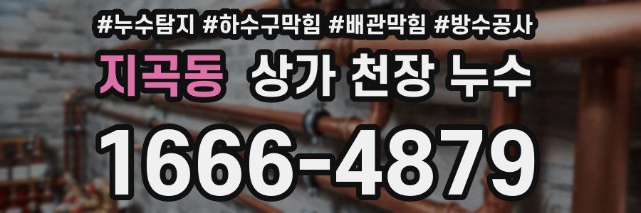 지곡동 상가 천장 누수