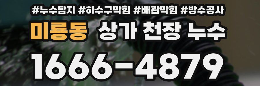 미룡동 상가 천장 누수