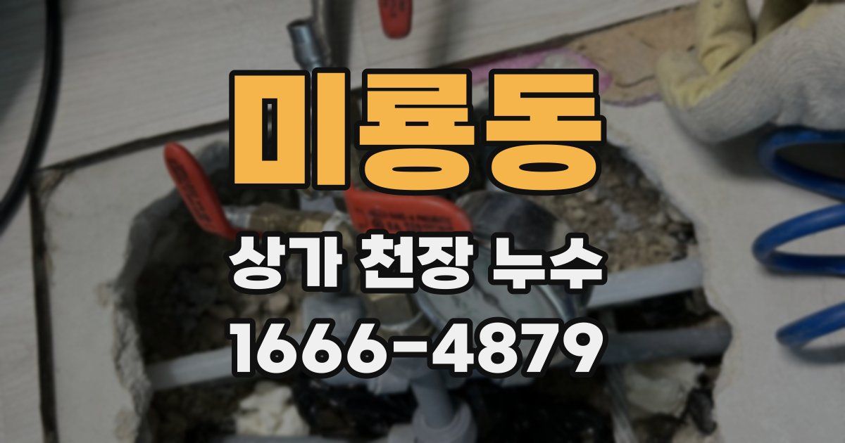 미룡동 상가 천장 누수