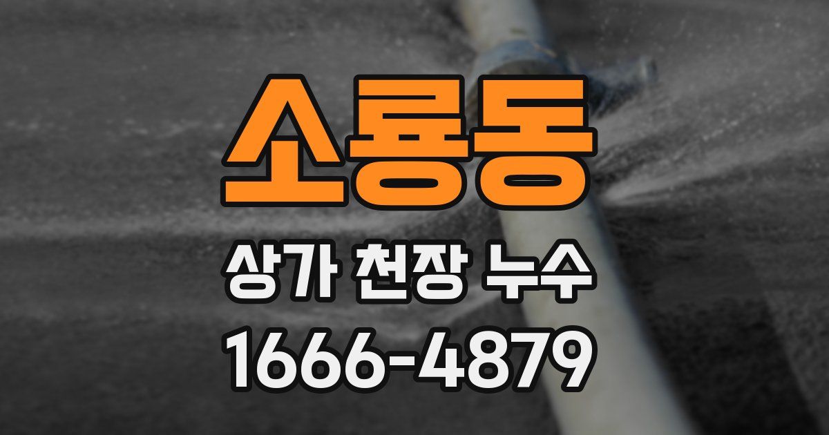 소룡동 상가 천장 누수