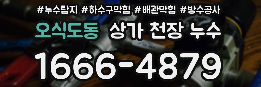 오식도동 상가 천장 누수