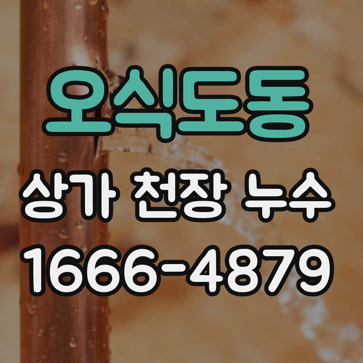 오식도동 상가 천장 누수